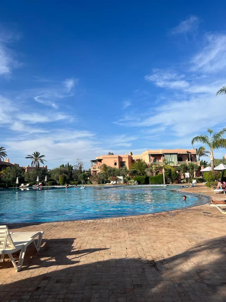 Vue Piscine Palmerie * Marraquexe